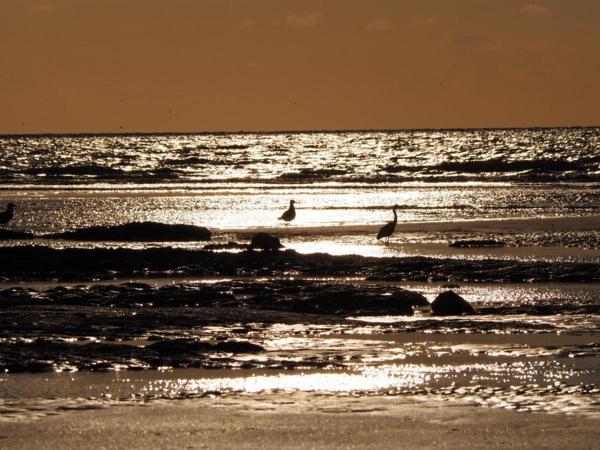 Les Nord'Mandines Hotell Trouville-sur-mer Exteriör bild